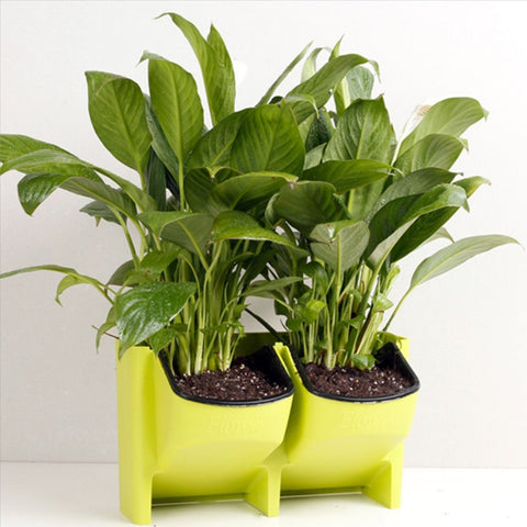 Meubles de jardin impilables pour la décoration du jardin sur un parterre en PP