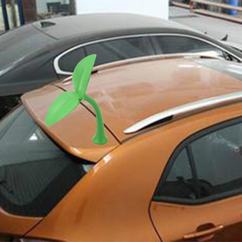 Erba decorativa esterna en gomme pour auto