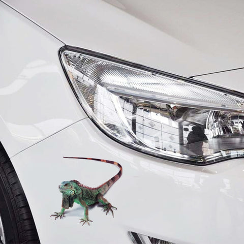 A19 Adesivi casuali per carrozzeria con motivo animale, A19