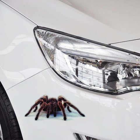 A21 Adesivi casuali per carrozzeria con motivo animale, A21