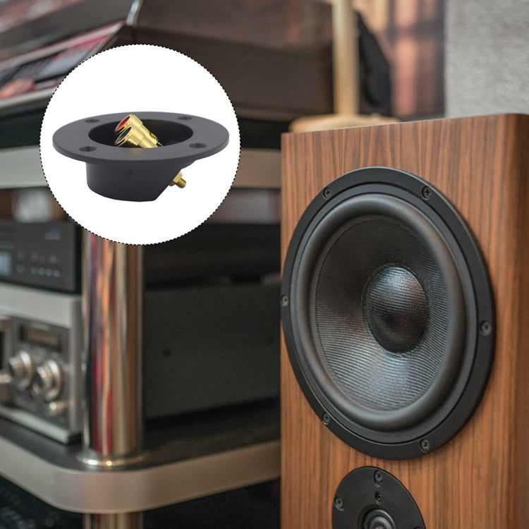 2-in-1 Car Speaker Box Jacks with Gold Plate Design