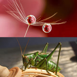 Miniatura del prodotto