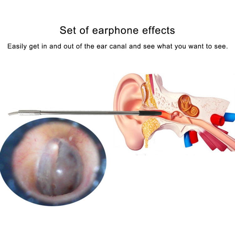 Microscopio Digitale USB 0,3 MP con Illuminazione a 6 LED e Lente da