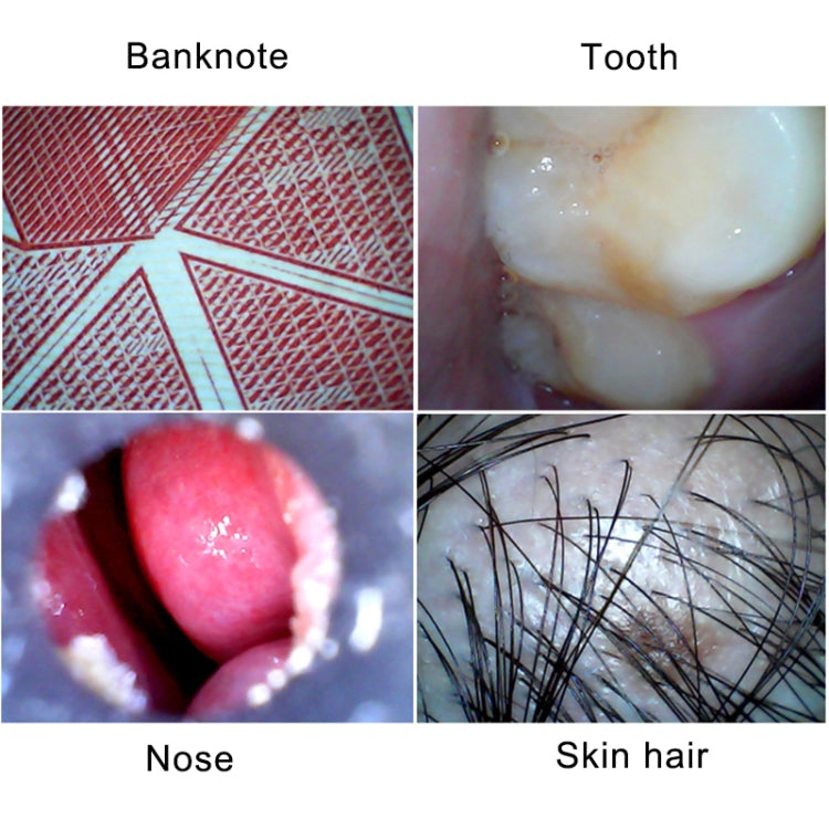 Microscopio Digitale USB 0,3 MP con Illuminazione a 6 LED e Lente da