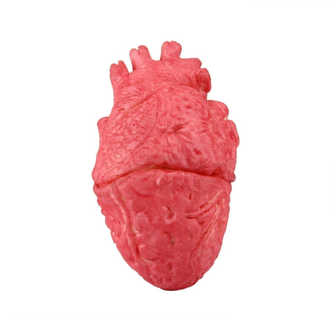 Popolare divertente puntelli di Halloween cuore falso, Fake Heart