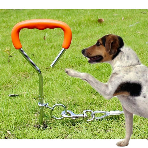 Chiodo a spirale per fissaggio su palo di canna con manico per addestramento lungo all'aperto di cani di taglia media e piccola, dimensioni: 45 cm * 9 mm, Dimensioni: 45 cm*9 mm