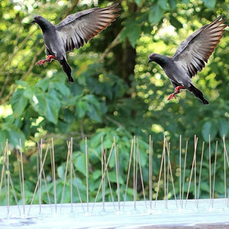 5 pezzi/set Repellente per uccelli Chiodi in acciaio inossidabile da 50 cm Punte per uccelli SK411, 5 PCS - Novalix Store