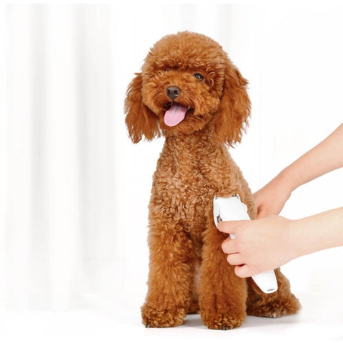 Rasoi elettrico ricaricabile per animali domestici Xiaomi Youpin