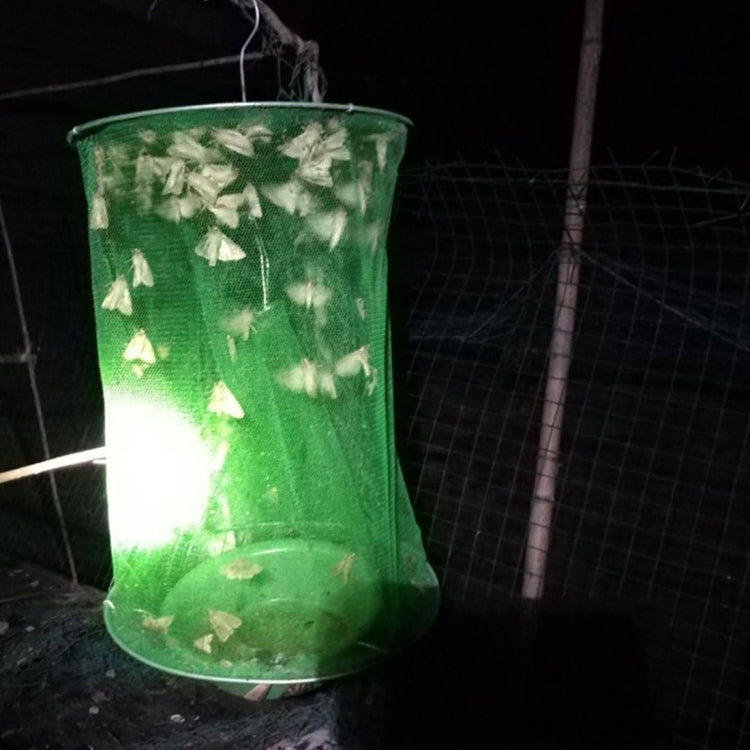 cacciatore-di-mosche-automatico-sospeso-pieghevole-da-3-pezzi-gabbia-per-mosche-indotta-fly-cage - immagine 9