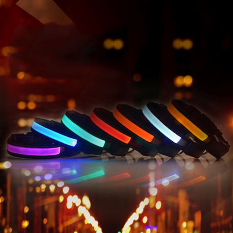 Collier lumineux à LED pour chien sur étiquette média et grande, solaire + USB, circonférence du collier : L, 50-60 cm, taille : L