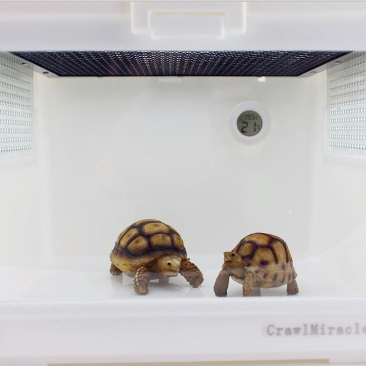 Termometro e igrometro centigradi digitali a forma rotonda per scatola per rettili con display