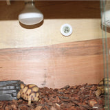 Miniatura del prodotto