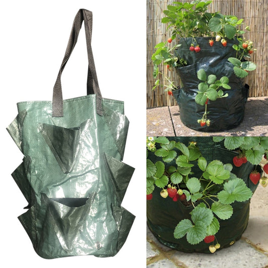 cmd-3-borsa-per-piantare-fragole-in-pe-da-appendere-da-3-galloni-borsa-per-piantare-fiori-orticoli - immagine 1