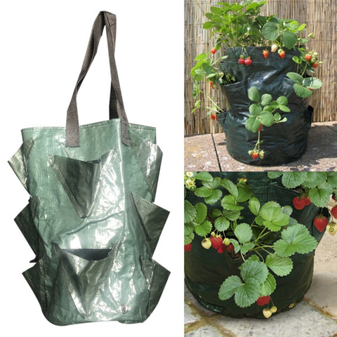 CMD-3 Bourse pour plante fragile en PE à partir des annexes de 3 gallons Bourse pour plante fleur ortique