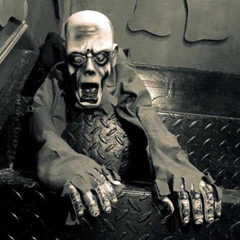 Collezione di teschi essenziali per la festa di Halloween Teschio fantasma zombi strisciante, Ghost Skull