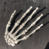 Miniatura del prodotto