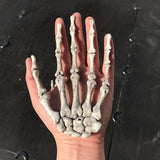 Miniatura del prodotto