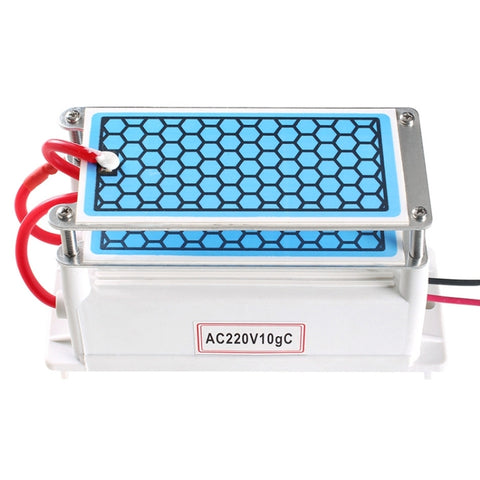 Purificateur d'air 220V 10g avec générateur d'ozone intégré avec cheminée en céramique à haute température, AC 220V 10G