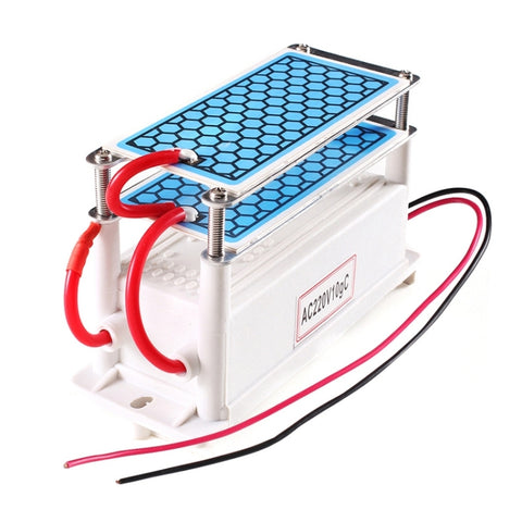 Purificateur d'air 220V 10g avec générateur d'ozone intégré avec cheminée en céramique à haute température, AC 220V 10G