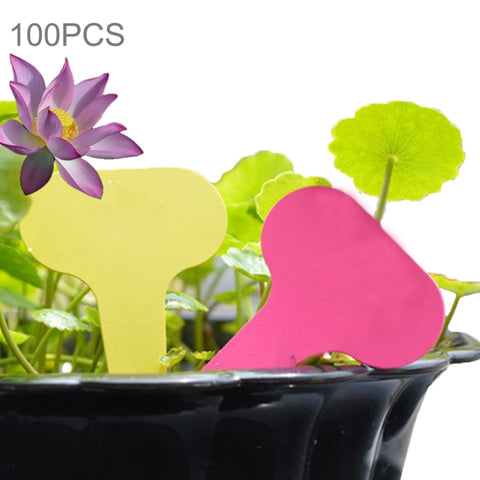 Étiquette florale pour 100 pièces Étiquette de jardin Étiquette imperméable avec insert pour petite carte Étiquette en vase, couleur décontractée, Étiquette végétale 3