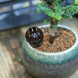 Miniatura del prodotto