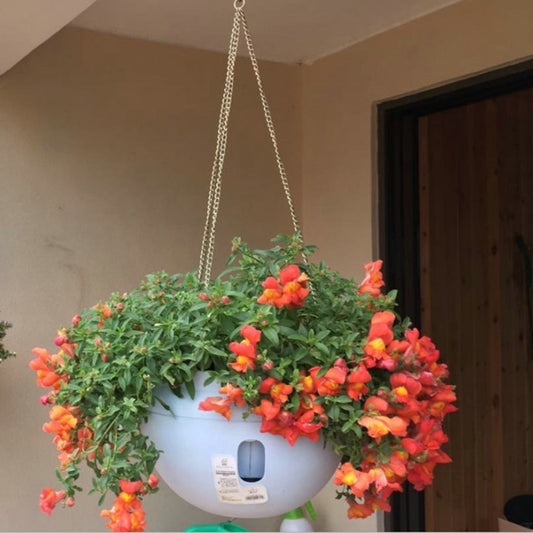 Vasi da fiori in plastica sospesi Vasi da fiori sospesi con catena sospesa, dimensioni medie: 23,2 * 15,7 cm, consegna colore casuale, Medium Size