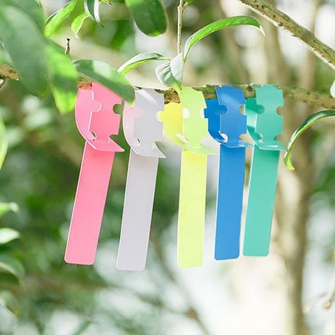 Etichetta impermeabile de 50 pezzi Etichetta per piante floreali Etichetta per giardinaggio, consegna colore casuale, Plant Label 2