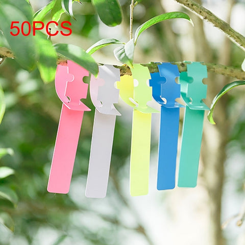 Etichetta impermeabile de 50 pezzi Etichetta per piante floreali Etichetta per giardinaggio, consegna colore casuale, Plant Label 2