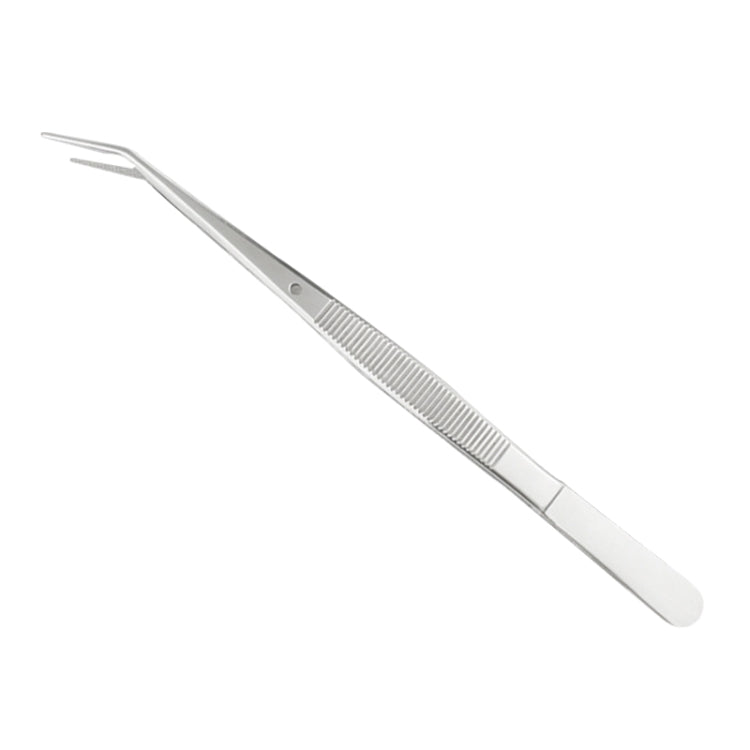 10 pinzette in acciaio inossidabile per strumenti da dentista, Tweezers - Novalix Store