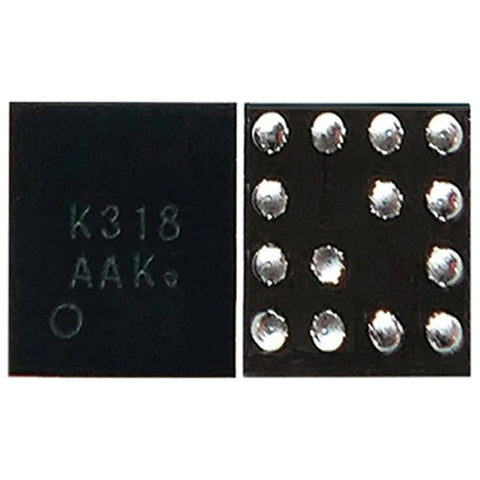 Module CI audio K318, K318