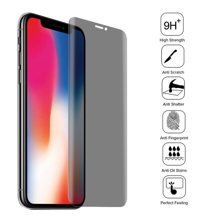 iPhone X 0.3mm 9H Privacy Tempered Glass Screen Protector