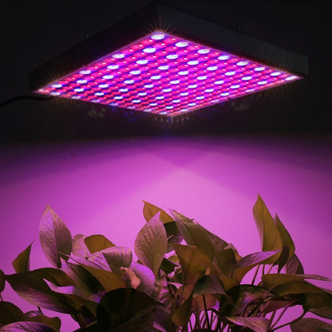 Luce per acquario con luce per serra da 225 LED, CA 85-265 V, 45W/SMD 2835