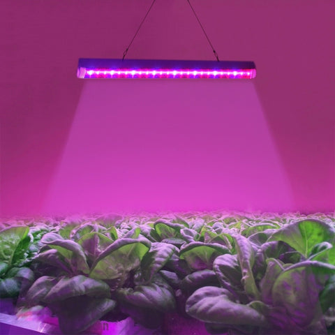 Luce per acquario con luce per serra a 24 LED, T5 4.8W(US), T5 4.8W