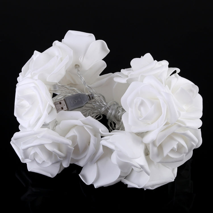 Teenage Style LED Fairy Decorative Lamp for Home Decor