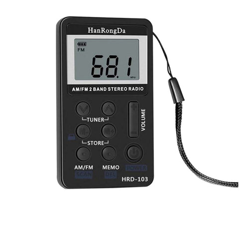 Ricevitore radio stereo portatile ricaricabile AM/FM con schermo LCD