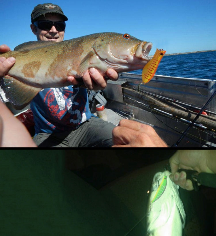 Set di 30 Esche da Pesca HENGJIA HENG JIA - 6 Modelli in Plastica