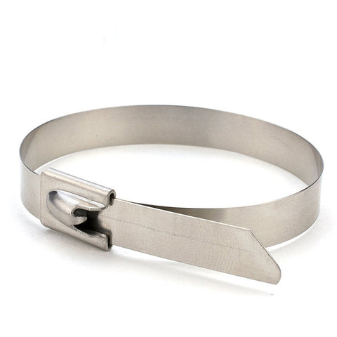100 PZ 4.6x150mm Fascette metalliche in acciaio inossidabile Fascette Zip Wrap Cinghie termiche di scarico Tubo di induzione, 4.6x150mm