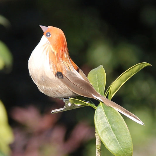 Simulazione Passero Simulazione Piuma Schiuma Uccello Decorazione orticola Consegna colore casuale, Simulation Sparrow Horticultural Decoration