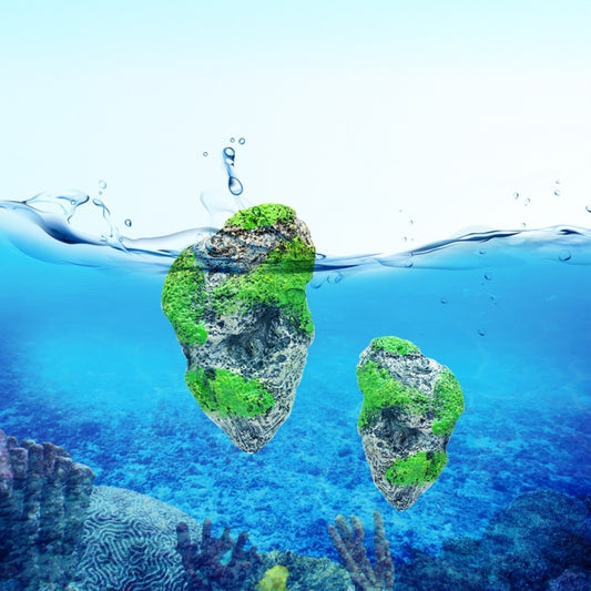Decorazione per Acquario in Pomice Galleggiante - Pietra Sospesa