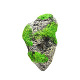 Miniatura del prodotto