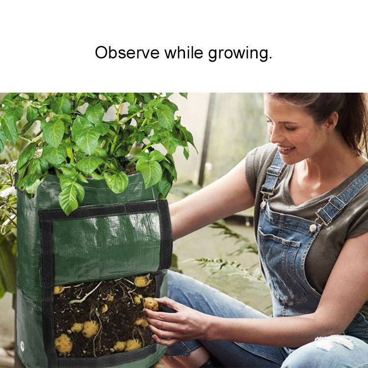 2-sacchetti-in-pe-da-10-galloni-per-coltivazione-patate-forniture - immagine 6