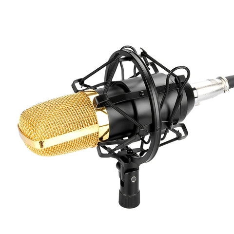 Microfono a Condensatore FIFINE F-700 per Registrazione Audio