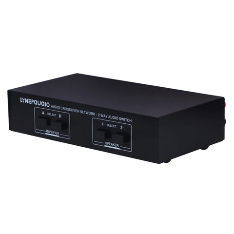 Interruttore per Altoparlante Passivo - Amplificatore a 2 Canali con