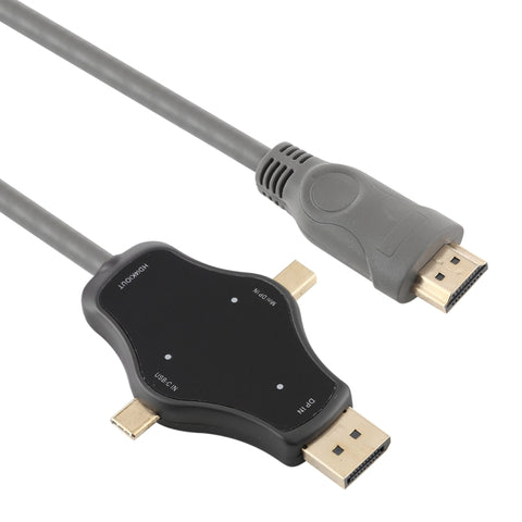 Adaptateur vidéo D65A de 1,8 m avec entrée DisplayPort et entrée Mini DP et entrée USB-C/Type-C vers HDMI 4K, D65A