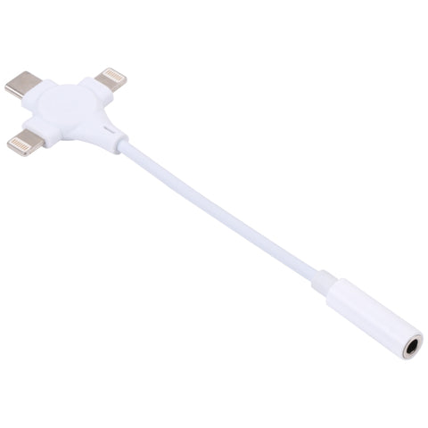 Cavo adaptateur audio numérique double à 8 broches + USB-C/Type-C mâle à femelle de 3,5 mm