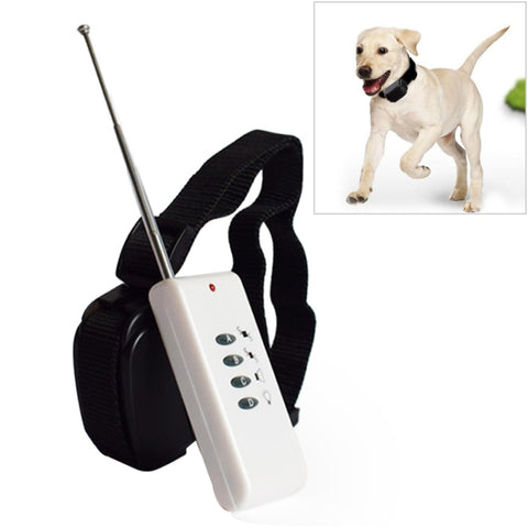Addestramento al controllo remoto del cane elettrico, White