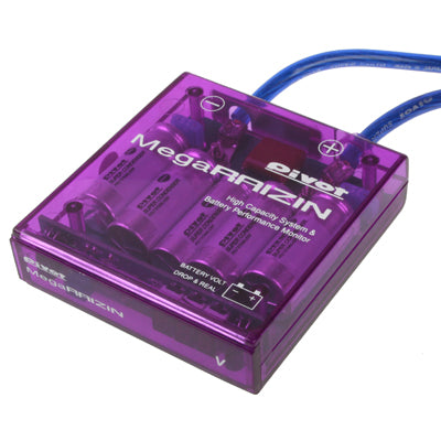 Stabilisateur de tension PIVOT Mega Raizin, système à haute capacité et moniteur des commandes de batterie, DC 12V, 03080002