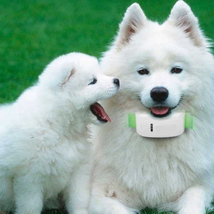 Universal IPX6 Waterproof GPS Tracker for Pets and Kids