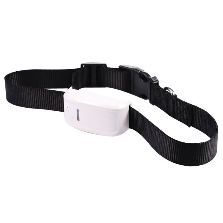 Universal IPX6 Waterproof GPS Tracker for Pets and Kids