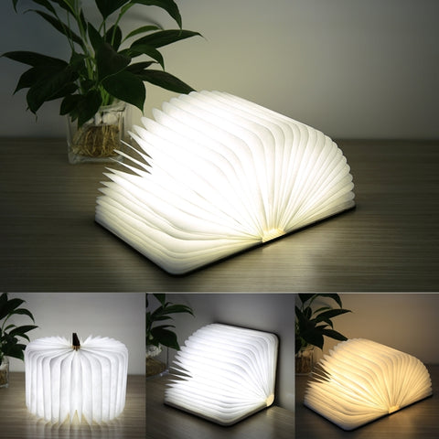 FS-LED01 500 lumen, wooden Material